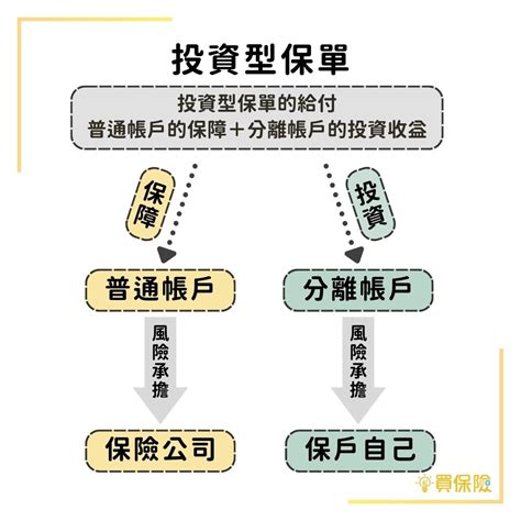 投資型保單甲乙丙丁戊|投資型保單上的「甲型」、「乙型」，是什麼意思？進。